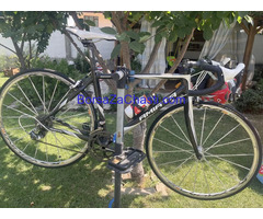 Шосеен карбонов велосипед Amiata Размер S